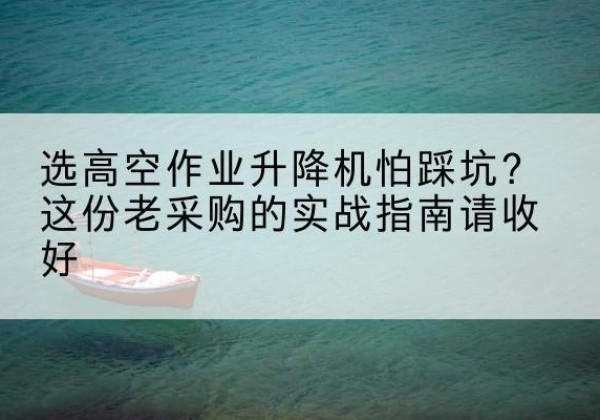 枞阳高空作业升降机厂家推荐-选高空作业升降机怕踩坑？这份老采购的实战指南请收好