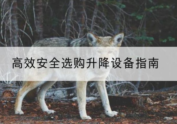 枞阳升降货梯厂家推荐-*安全选购升降设备指南