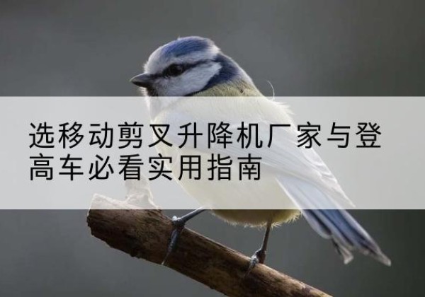 枞阳电动升降机厂家-选移动剪叉升降机厂家与登高车必看实用指南