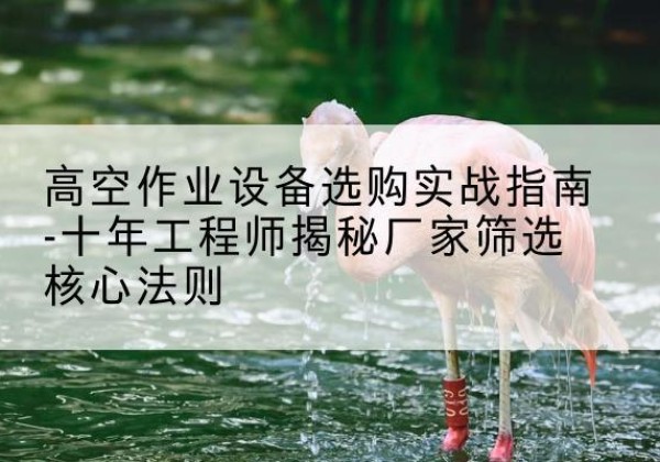 枞阳剪叉式升降机厂家-高空作业设备选购实战指南-十年工程师揭秘厂家筛选核心法则